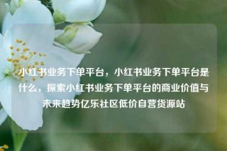 小红书业务下单平台，小红书业务下单平台是什么，探索小红书业务下单平台的商业价值与未来趋势亿乐社区低价自营货源站
