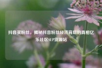 抖音买粉丝，揭秘抖音粉丝经济背后的真相亿乐社区SUP货源站