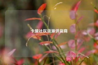 卡盟社区货源供货商