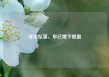 洋河坠落，早已埋下隐雷