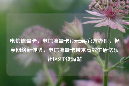 电信流量卡，电信流量卡19元200g官方办理	，畅享网络新体验，电信流量卡带来高效生活亿乐社区SUP货源站  第1张