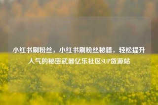 小红书刷粉丝，小红书刷粉丝秘籍，轻松提升人气的秘密武器亿乐社区SUP货源站