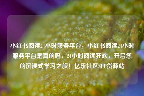 小红书阅读24小时服务平台	，小红书阅读24小时服务平台是真的吗，24小时阅读狂欢，开启您的沉浸式学习之旅！亿乐社区SUP货源站  第1张