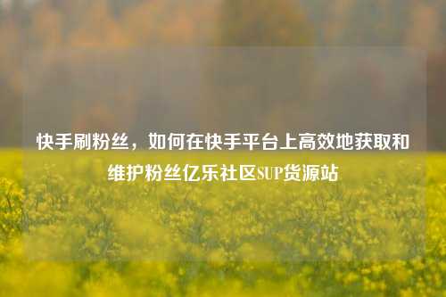 快手刷粉丝，如何在快手平台上高效地获取和维护粉丝亿乐社区SUP货源站  第1张