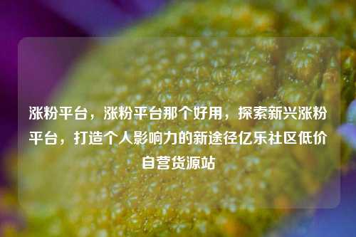 涨粉平台	，涨粉平台那个好用，探索新兴涨粉平台，打造个人影响力的新途径亿乐社区低价自营货源站  第1张